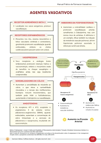 D5 - Image Ebook 11-1x