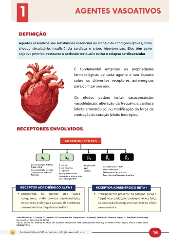 D5 - Image Ebook 12-1x