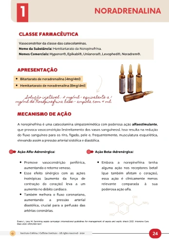 D5 - Image Ebook 14-1x