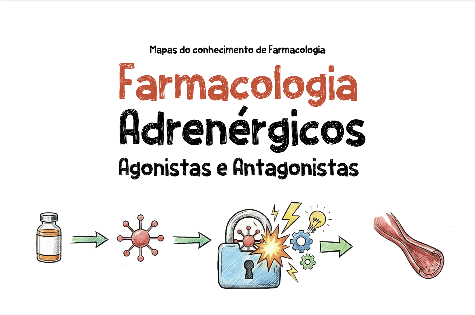 Fármacos Adrenérgicos