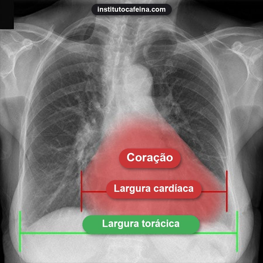 Correlações clínicas