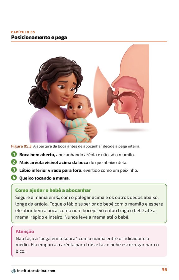 Página dos quatro pontos da pega correta