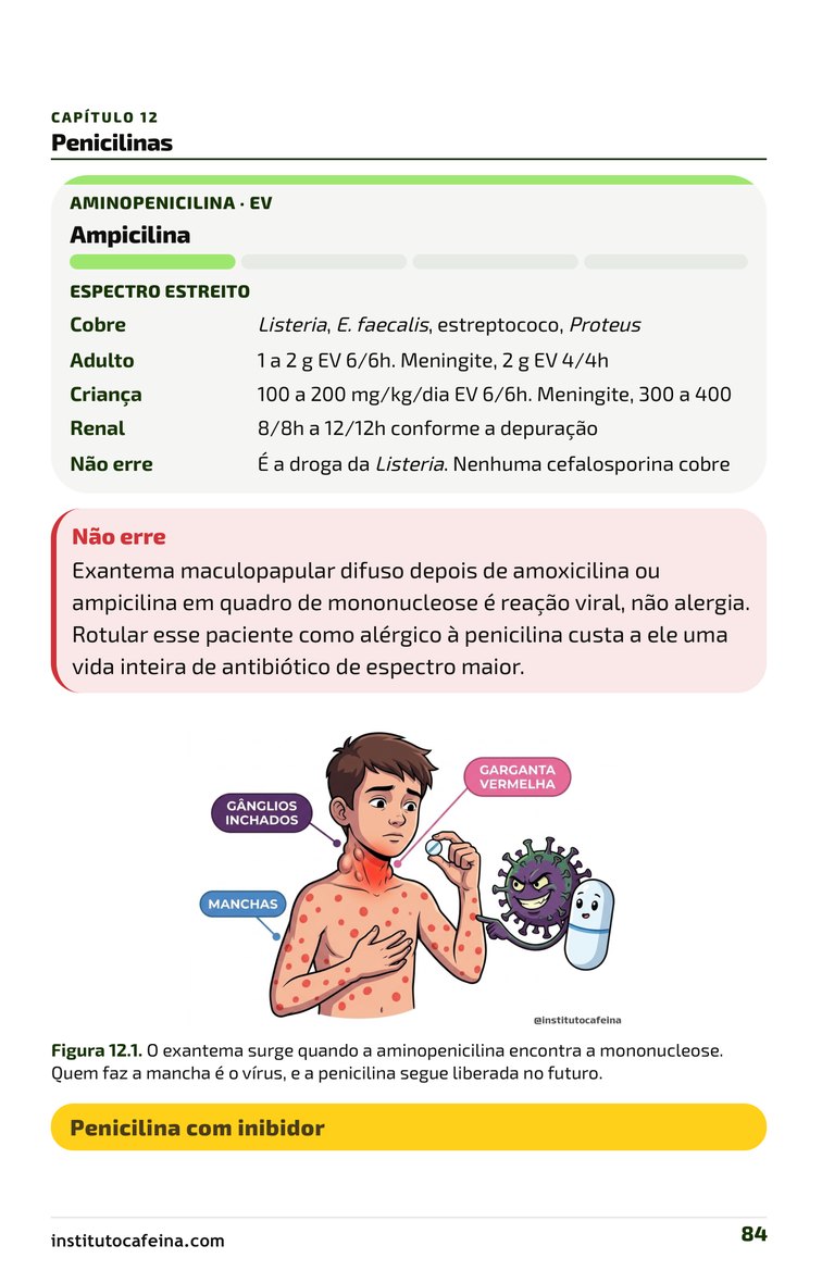 Página da ficha da ampicilina