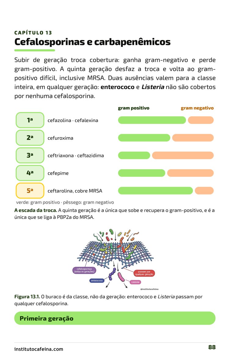 Página da escada das cefalosporinas